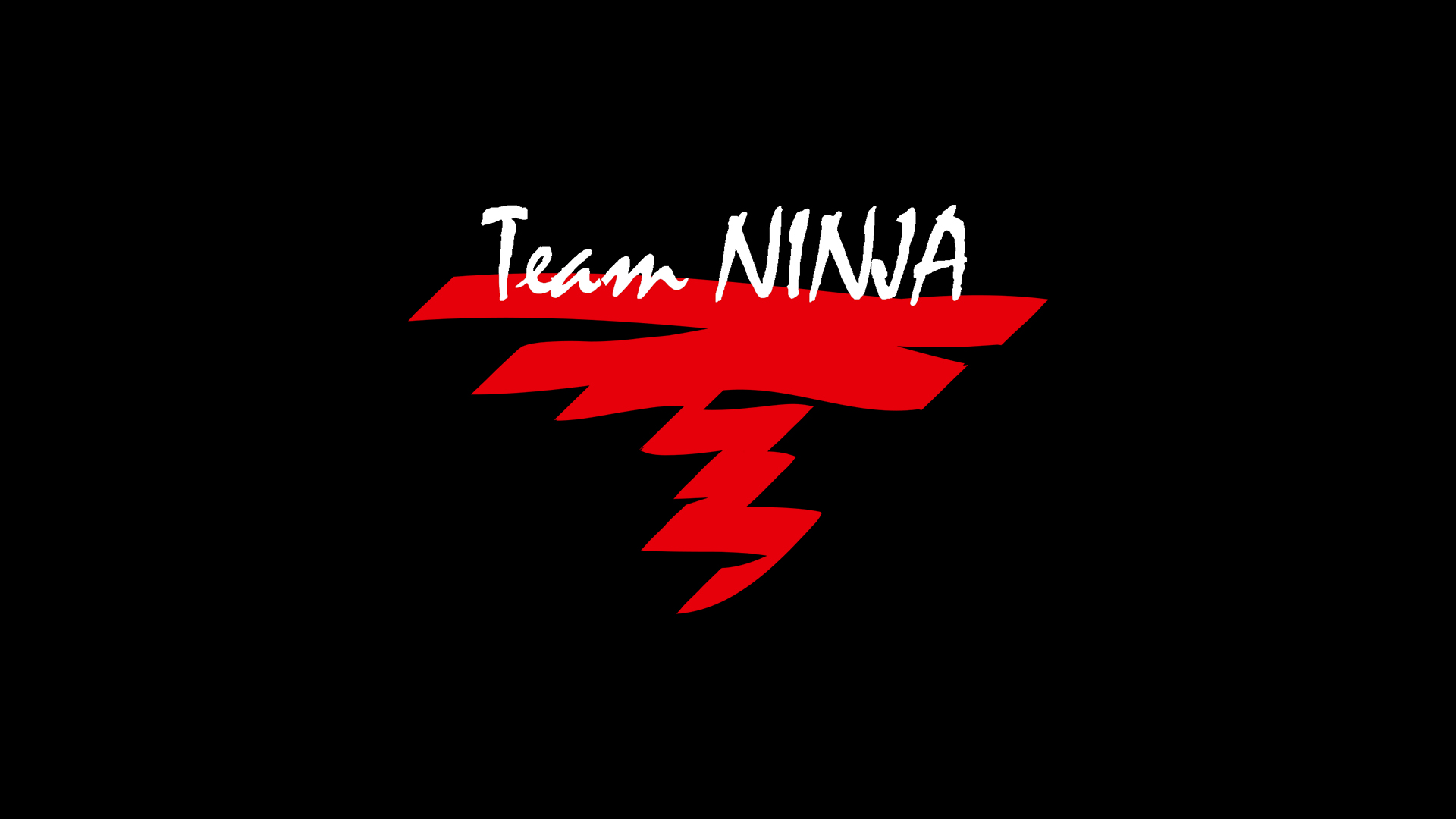 Team Ninja - Logosu